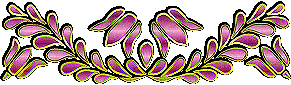 purplegolddivider.gif